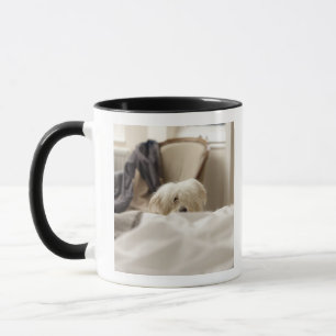 Tasse Chien blanc se cachant derrière le lit (foyer