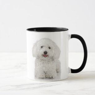 Tasse Chien maltais blanc