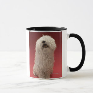 Tasse Chien mignon de Komondor