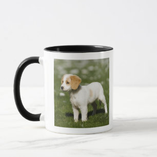 Tasse Chiot 3