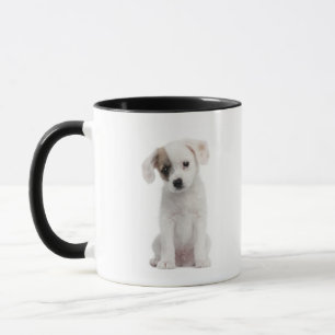 Tasse Chiot croisé de race (2 mois)