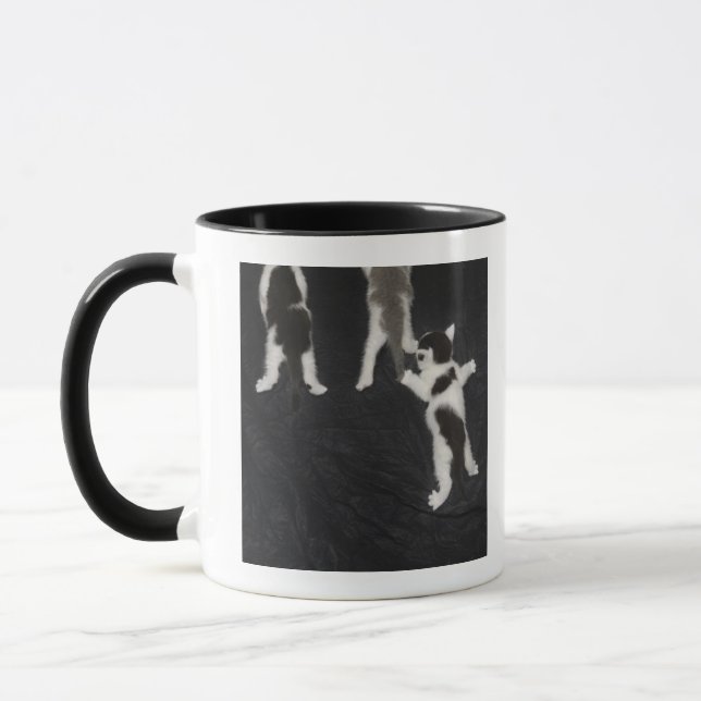 Tasse Chiot enroué (Gauche)