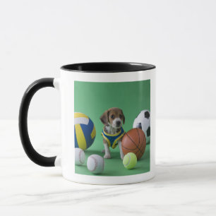 Tasse Chiot entouré par des boules de sport