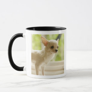 Tasse Chiwawa