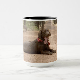 Tasse Chocolat doux Labrador Retriever Puppy
