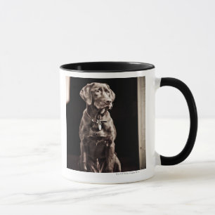 Tasse Chocolat labrador retriever