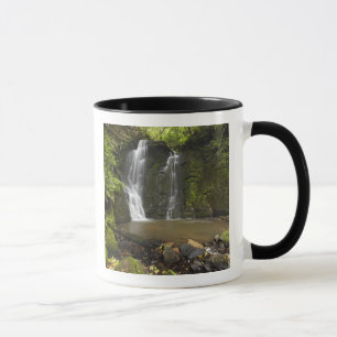 Tasse Chutes de Horseshoe, chutes de Matai