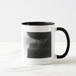 Tasse Chutes Victoria en Rhodésie PhotoRhodésie