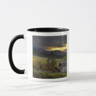 Tasse Ciel de coucher de soleil sur des vignobles et une