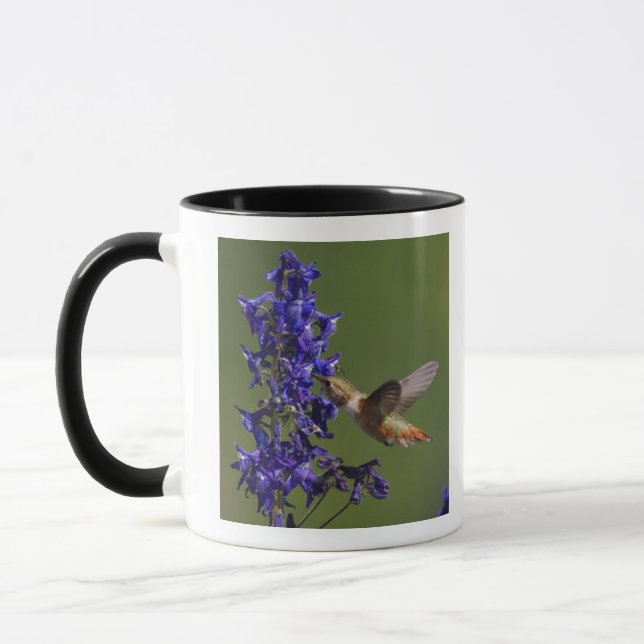 Tasse Colibri roux (Gauche)