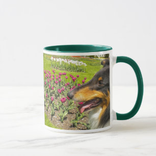 Tasse Collies et tulipes