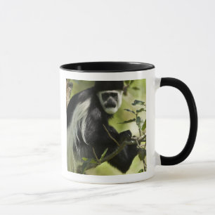 Tasse Colobe noir et blanc