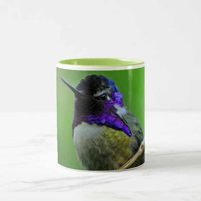 Tasse colorée de colibri (Centre)