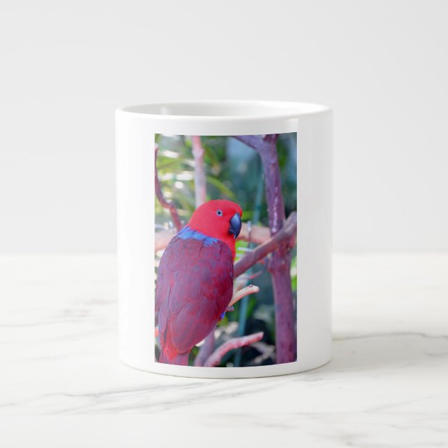 Tasse colorée de perroquet d'eclectus (Devant)