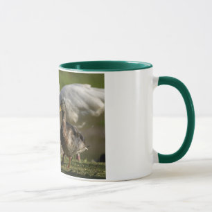 Tasse Convention de canard