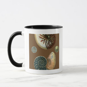Tasse Coque de cacao