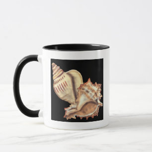 Tasse Coquilles artistiques de conque