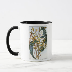 Tasse Cosses de vanille, plat 65, de 'collection