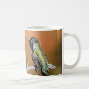 Tasse: Costa's Hummingbird #5 (klassisch) Kaffeetasse