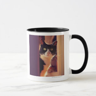 Tasse côte de benalamadena, Malaga, la Costa del Sol,