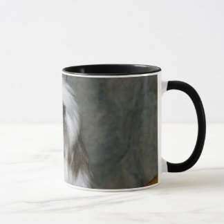 TASSE COTTON-TOP TAMARIN2