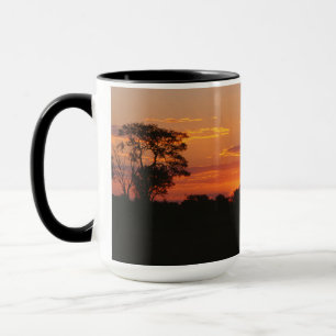 Tasse Coucher de soleil Acacia