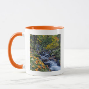 Tasse Couleurs d'automne le long des chutes de Starvatio