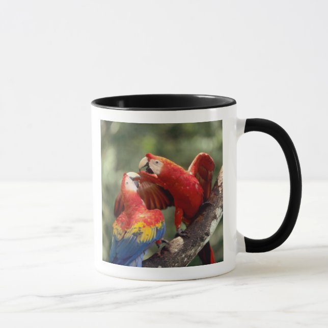 Tasse Couple d'Ara rouge (Droite)