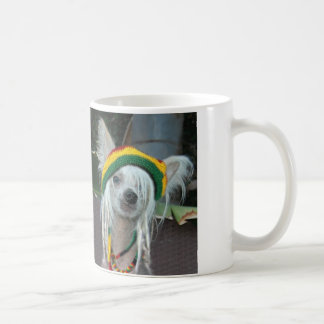 Tasse crêtée chinoise de chien de Rasta
