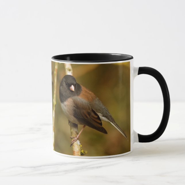 Tasse Curieux oiseau-chanteur Junco à sourcils noirs (Droite)