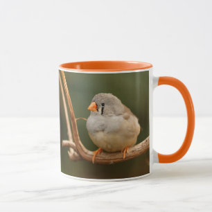 Tasse Cute Zebra Finch Songbird Assis Joli