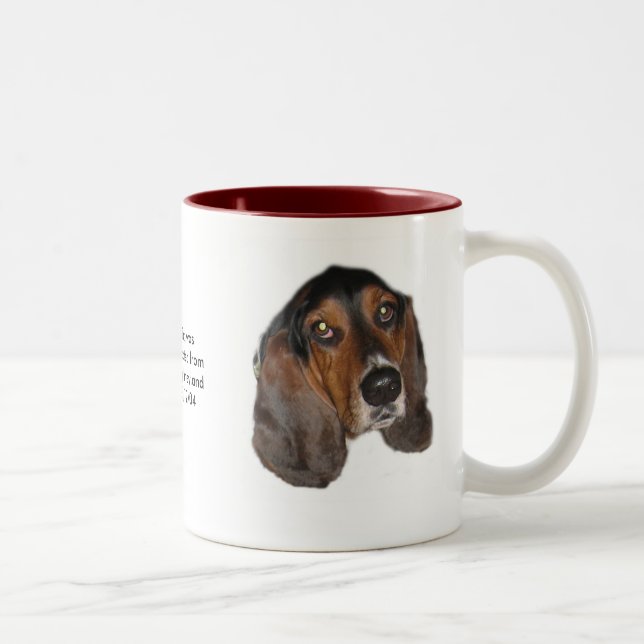 Tasse d'adoption de Taz (Droit)