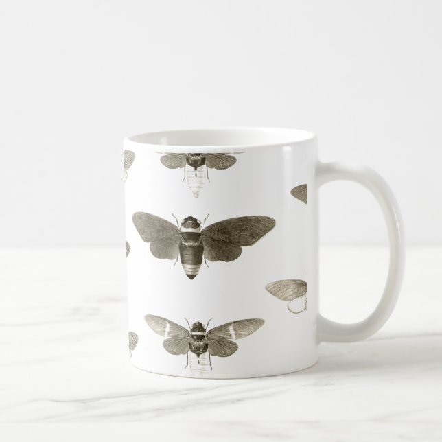 Tasse d'amant d'insecte - illustration vintage de (Droite)