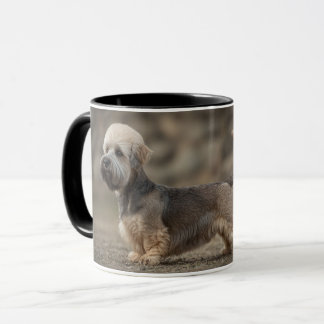 Tasse Dandie Dinmont Terrier