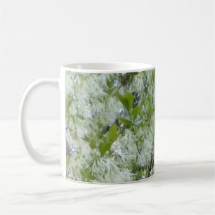 Tasse d'arbre de Graybeard d'ancêtre