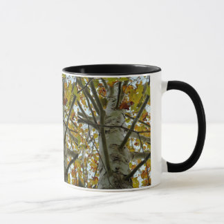 Tasse d'arbre de sycomore