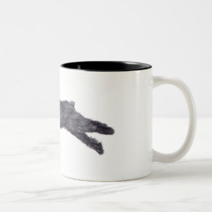 Tasse d'art de chien de DES Flandres de Bouvier