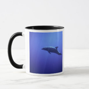 Tasse Dauphin