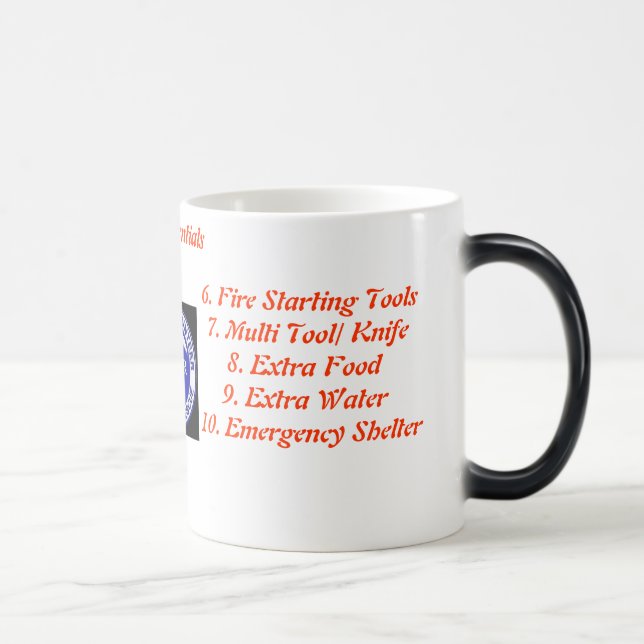 Tasse de 10 bases (Droite)