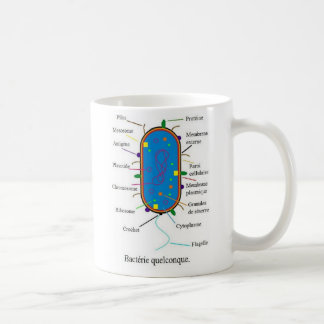 Tasse de bactéries