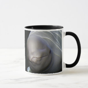 Tasse de baleine de beluga