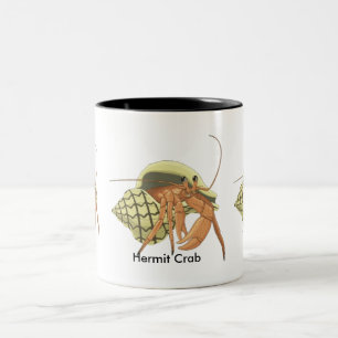 Tasse de bernard l'ermite