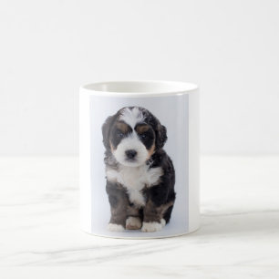 Tasse de Bernedoodle