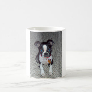 Tasse de Boston Terrier