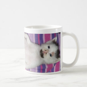 tasse de bouton de Benjamin de favoris
