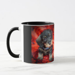 tasse de café à poils durs de chiot de teckel
