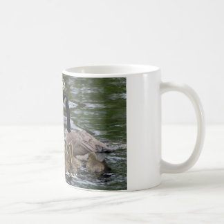 tasse de café avec la famille des oies
