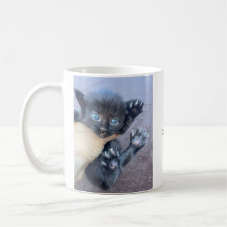 Tasse de café avec un chaton : Ne m'ennuyez pas