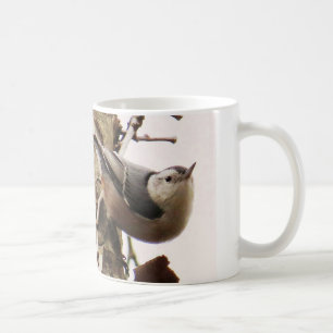 Tasse de café Blanche-breasted de sittelle