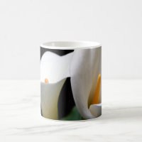 Tasse de café blanche de fleur de zantedeschia